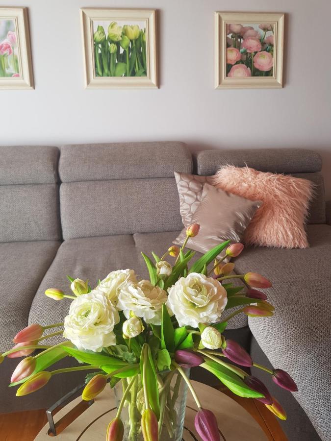 Mediterran Apartman Pécs Eksteriør bilde