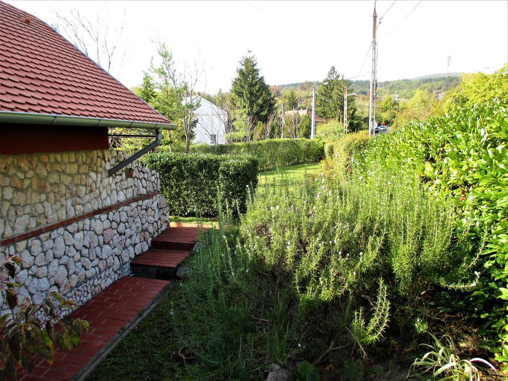 Mediterran Apartman Pécs Eksteriør bilde