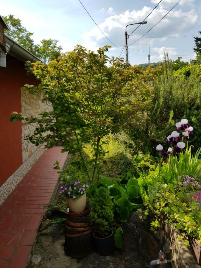 Mediterran Apartman Pécs Eksteriør bilde
